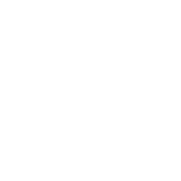 Avisen.dk logo